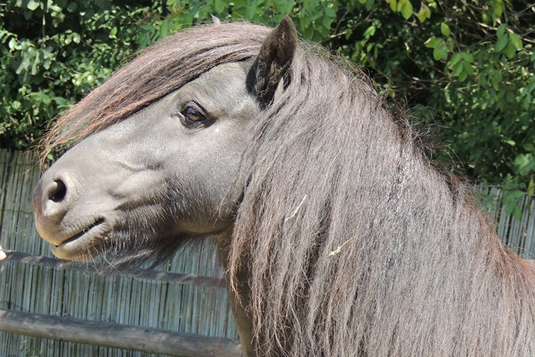 HarviestounPetraeus_02