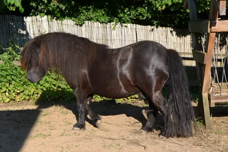 HarviestounPetraeus_03